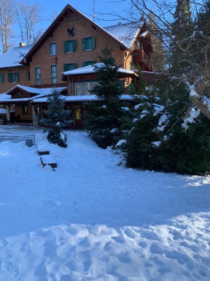 Sebesviz Panzio Bed & Breakfast Repashuta Eksteriør bilde