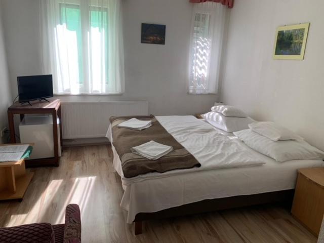 Sebesviz Panzio Bed & Breakfast Repashuta Eksteriør bilde