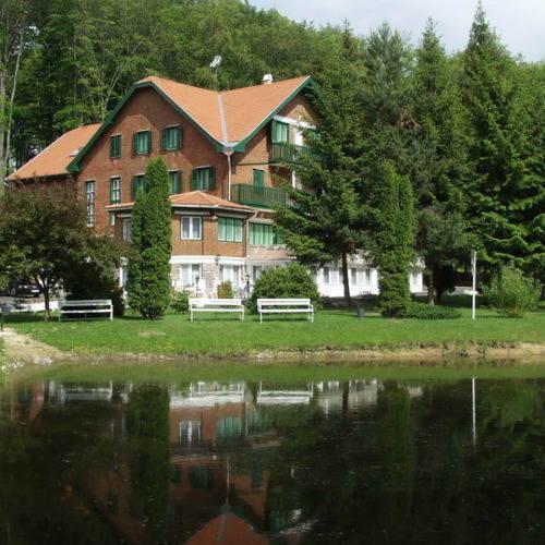 Sebesviz Panzio Bed & Breakfast Repashuta Eksteriør bilde