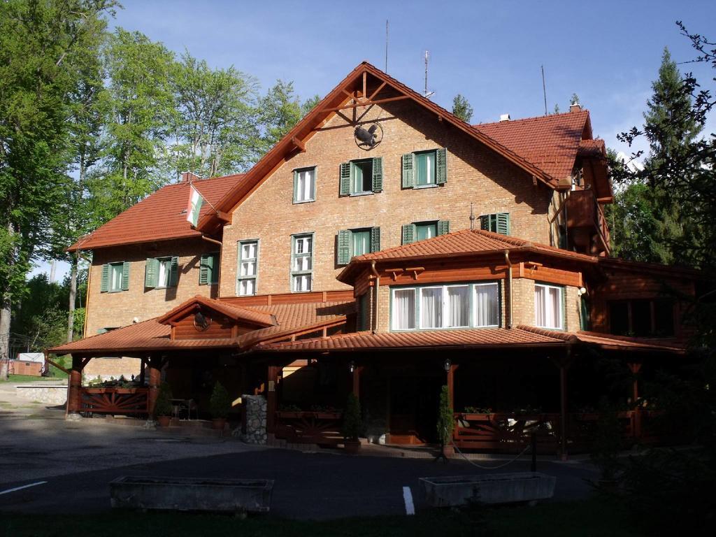Sebesviz Panzio Bed & Breakfast Repashuta Eksteriør bilde