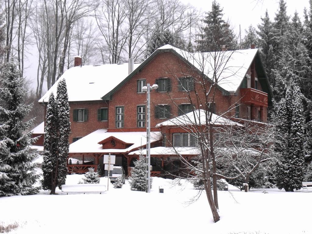 Sebesviz Panzio Bed & Breakfast Repashuta Eksteriør bilde