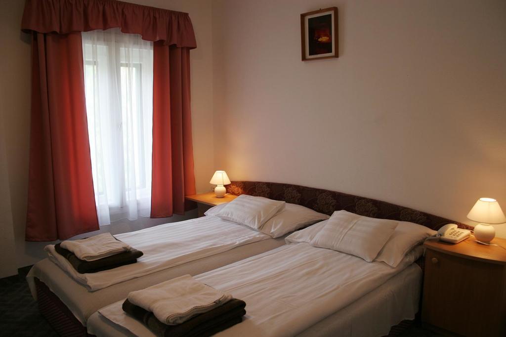 Sebesviz Panzio Bed & Breakfast Repashuta Eksteriør bilde